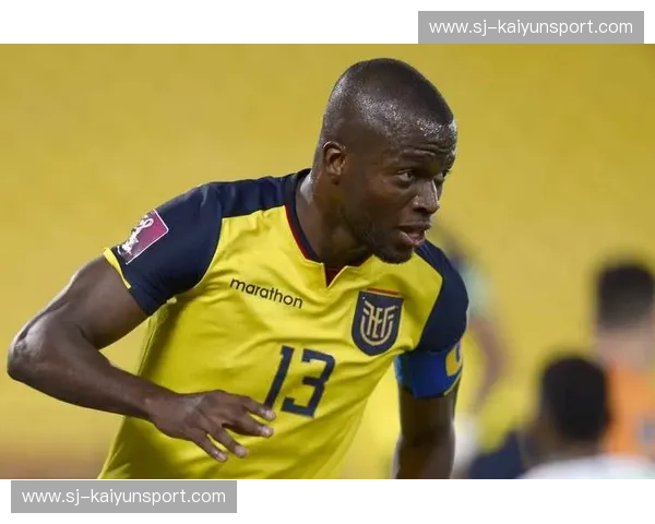 塞内加尔vs.厄瓜多尔：世界杯舞台上的黑马对决与非洲雄狮的荣耀之战